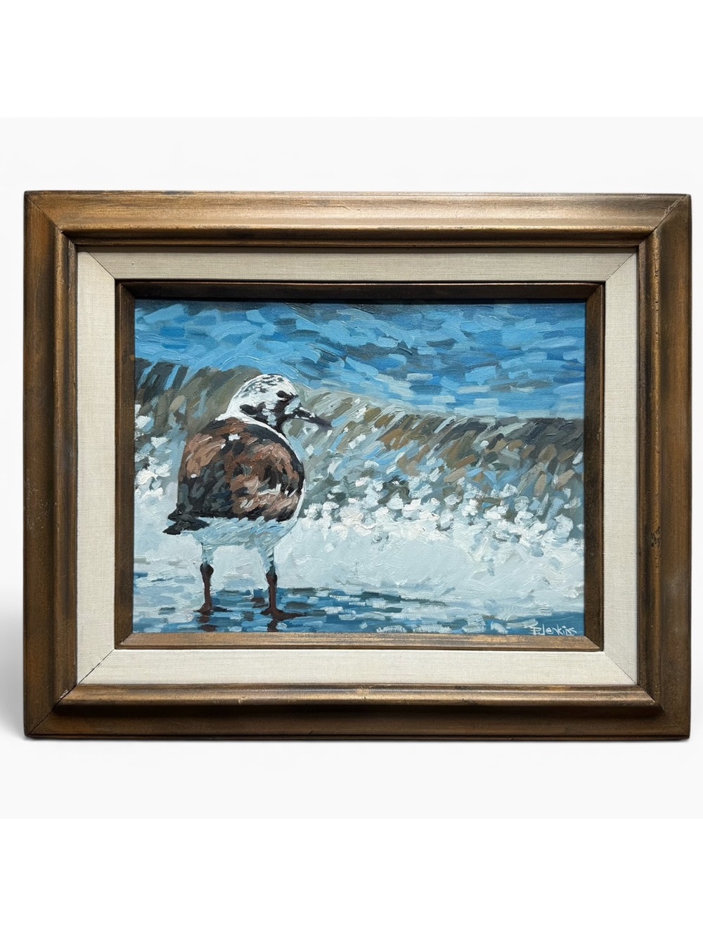 Paul Jenkins Florida Cocoa Beach Ruddy Turnstone Bird Oil Painting 12x16
